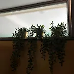 Casa Valkenburg * ファルケンブルフ